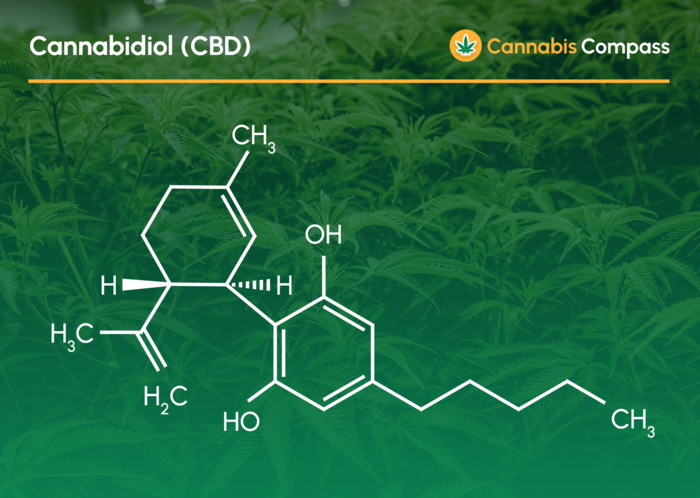 Was Ist CBD Und Wie Wirkt Es? | Cannabis Compass